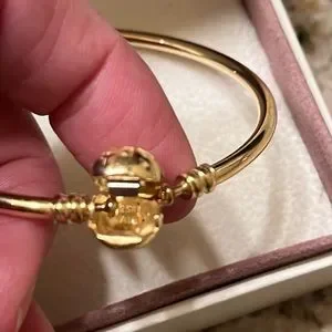 Pandora Jewelry Genuine Pandora Moments 4kt Gold Bangle